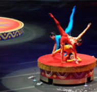 Contortion